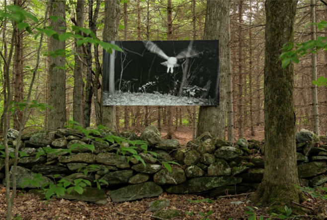 La chouette d’Éliane Escoffier